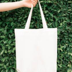 Canvas / Tote Bag