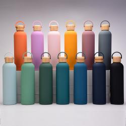 Double Wall Stainless Steel Narrow Mouth Vacuum Flask Thermal